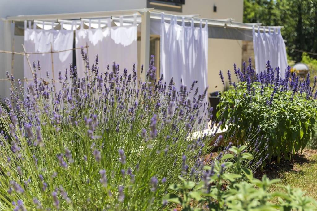 Holiday home Luxury Cetiri Hrasta *