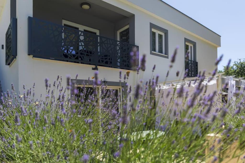 Luxury Cetiri Hrasta