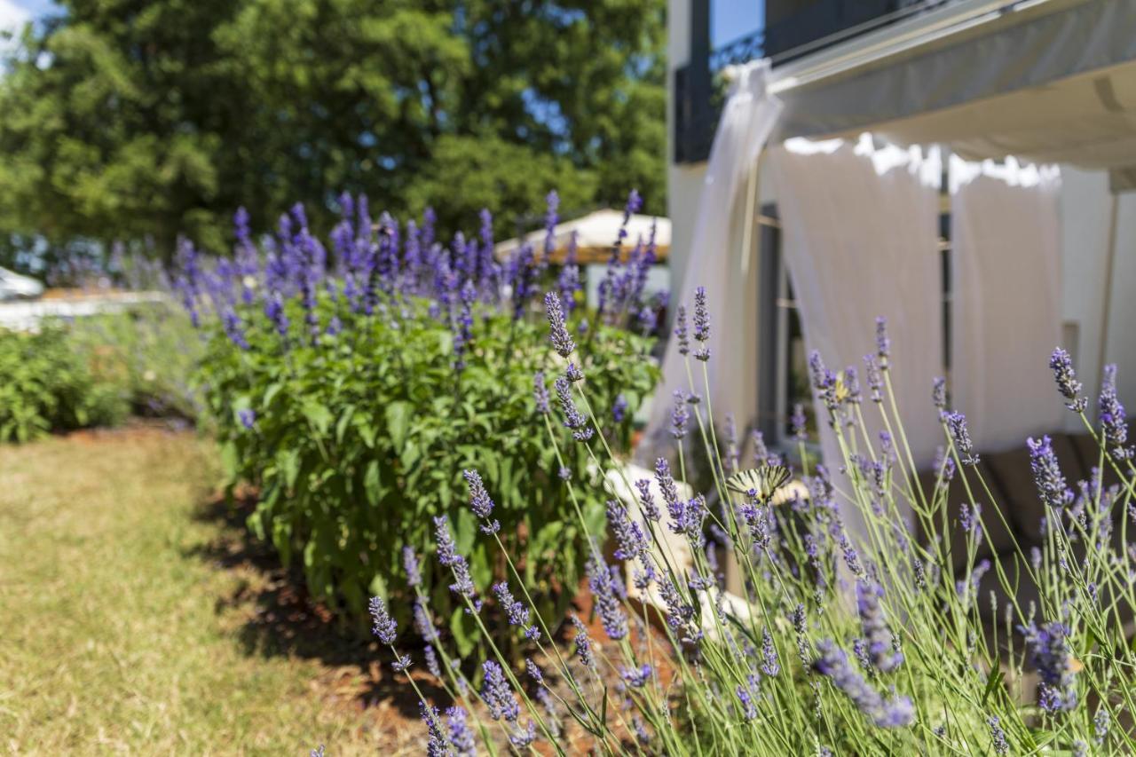 Luxury Cetiri Hrasta Holiday home