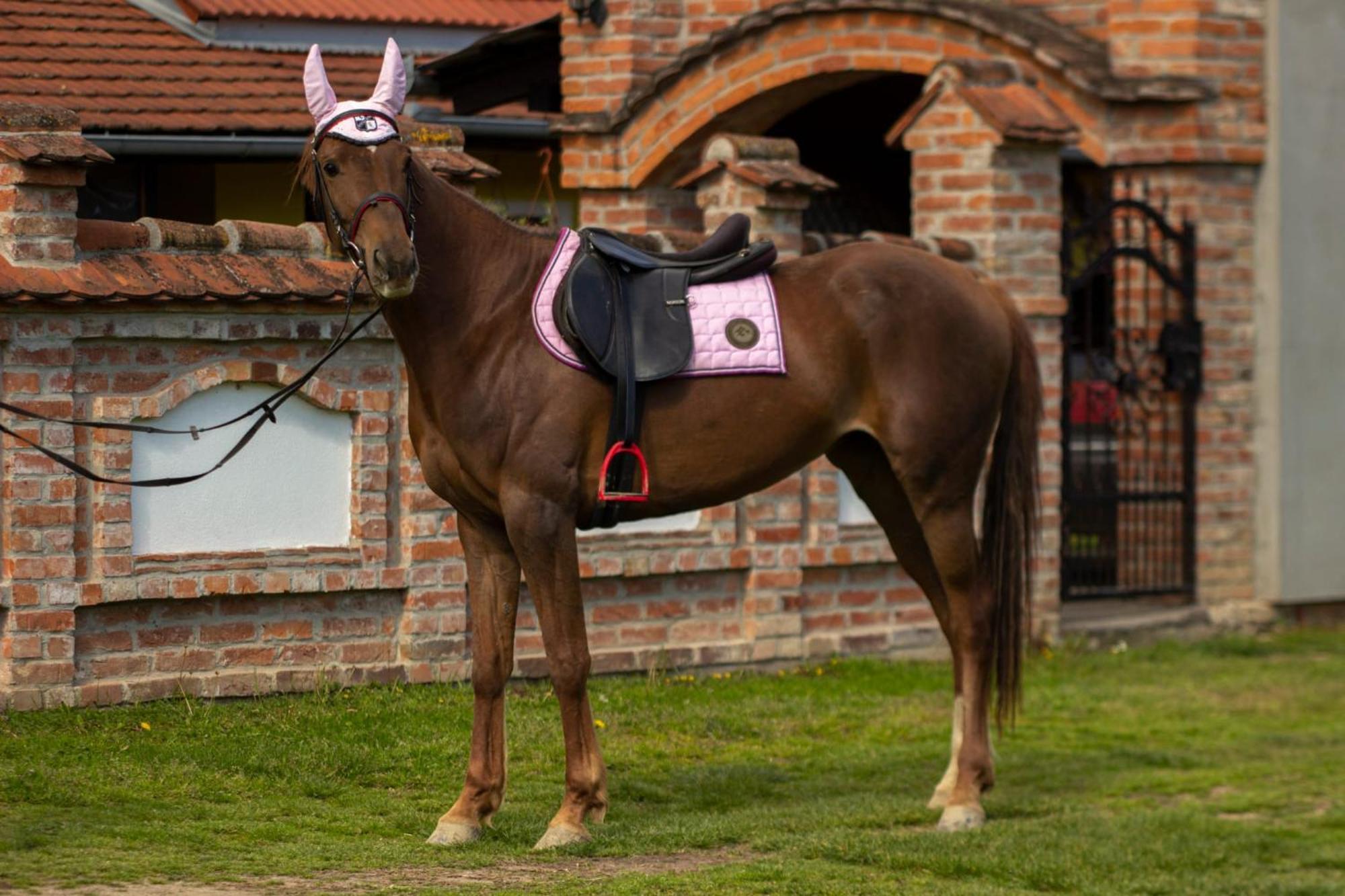 Luxury Cetiri Hrasta *